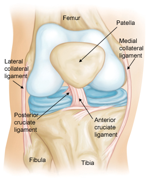 Knee Pain and Treatment, Calgary