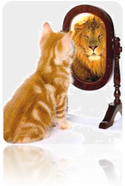 Kitten in mirror