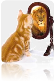 Kitten in mirror