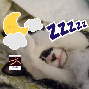 A Good Night’s Sleep…